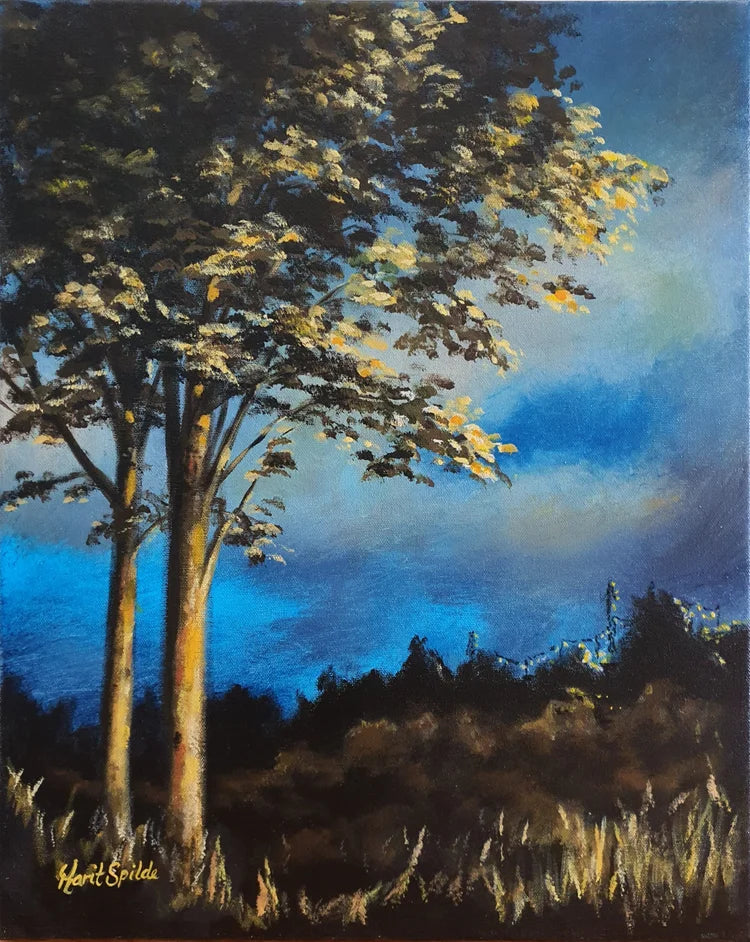 Night, 40x50 cm